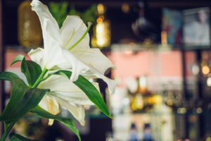 Service Design Drinks #15 Impressionen 34