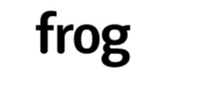 frog design