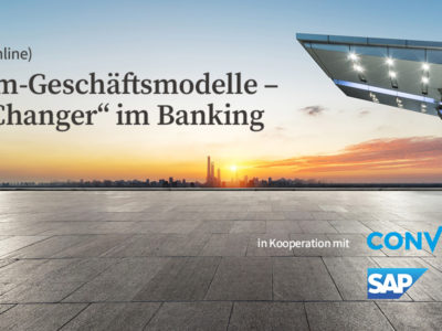 Plattform-Geschäftsmodelle